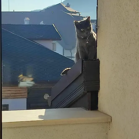 Apartament локация и уют Bansko